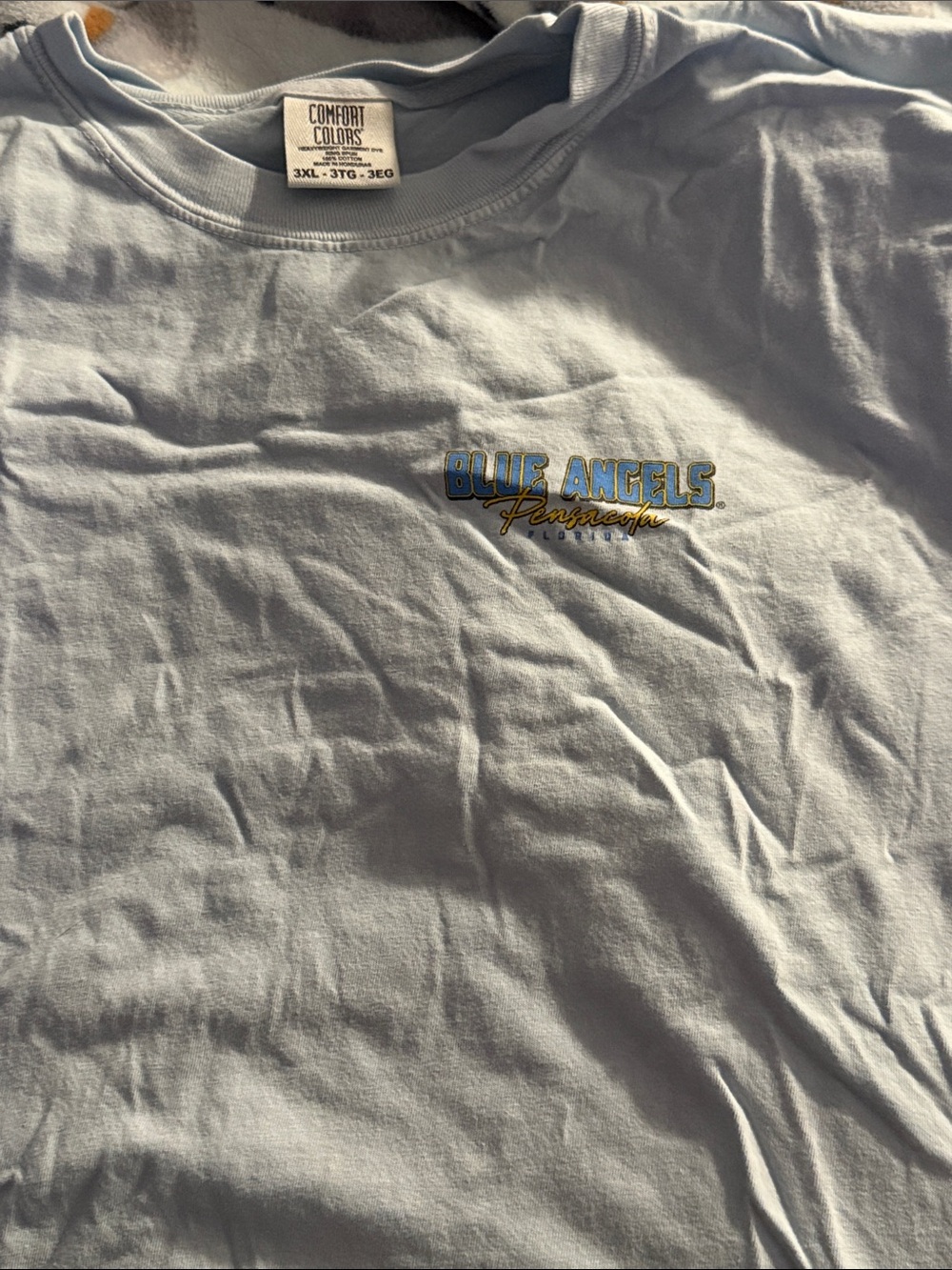 Comfort Colors Blue Angels Light Blue Short Sleeve Tee